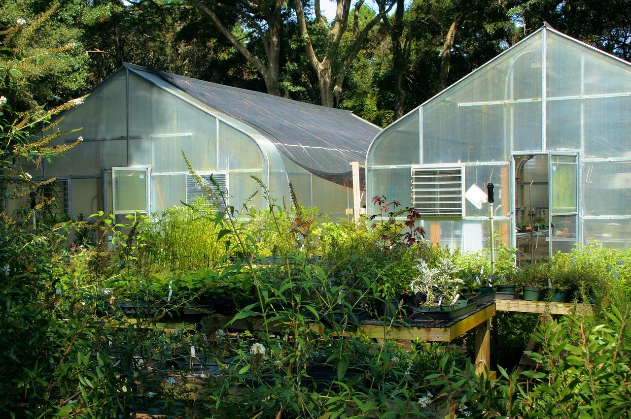 Frome community greenhouse